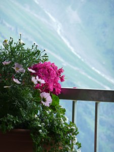 P1050183 - Version 2